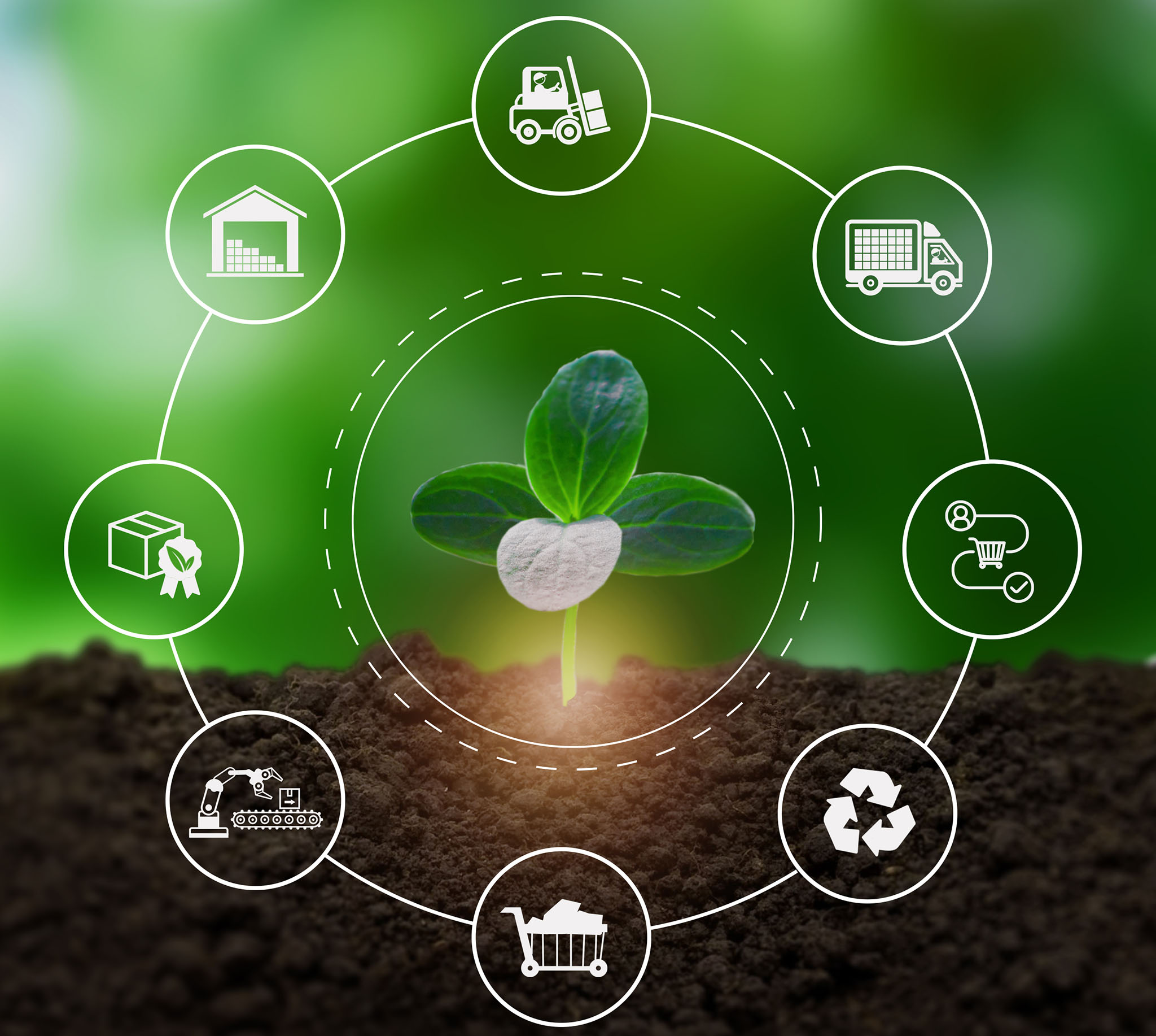 Green and sustainable supply chain concept. Integration of environmentally friendly practices into the supply chain process, from sourcing raw materials to delivering products to custom.